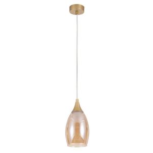 Подвесной светильник Barry A7951SP-1GO Arte Lamp