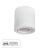 Накладной светильник A5559PL-1WH Arte Lamp
