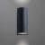 Фасадный светильник A3102AL-2BK Arte Lamp
