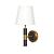 Настенный светильник ROBERT A5066AP-1BK Arte Lamp
