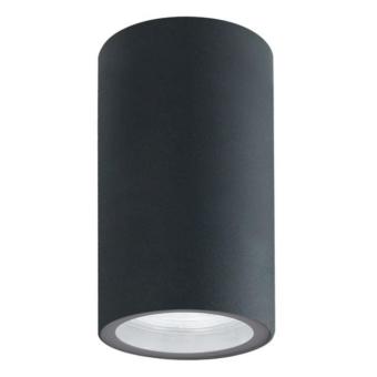 Фасадный светильник A3302PF-1GY Arte Lamp