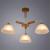 Потолочная люстра A5032PL-3BR Arte Lamp