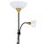 Торшер A9569PN-2BK Arte Lamp