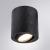 Накладной светильник A5559PL-1BK Arte Lamp
