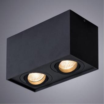 Накладной светильник A5544PL-2BK Arte Lamp