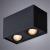 Накладной светильник A5544PL-2BK Arte Lamp Накладной светильник A5544PL-2BK Arte Lamp