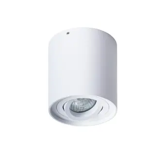 Накладной светильник A5645PL-1WH Arte Lamp