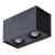 Накладной светильник A5544PL-2BK Arte Lamp Накладной светильник A5544PL-2BK Arte Lamp