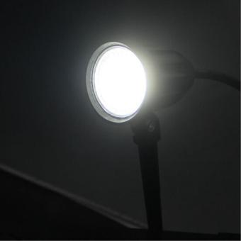 Грунтовый светильник Elsie A1127IN-1BK Arte Lamp