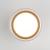 Потолочный светильник Light 35140/H 15W 4000K белый Elektrostandard Потолочный светильник Light 35140/H 15W 4000K белый Elektrostandard