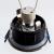 Встраиваемый светильник A5440PL-1SS Arte Lamp Встраиваемый светильник A5440PL-1SS Arte Lamp